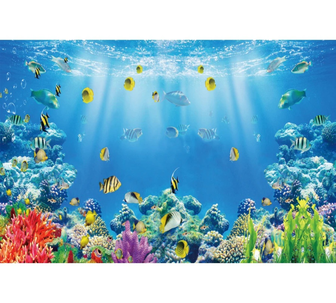Underwater World Fish Coral Aq - огляд і ціна Aquarium Fish World