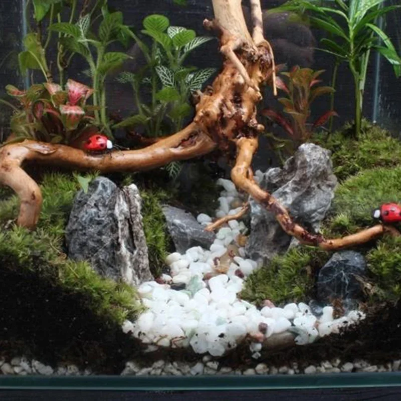 Natural Tree Trunk Driftwood A - огляд і ціна Aquarium Fish Tank Price