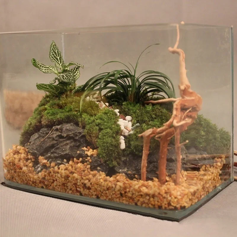 Natural Tree Trunk Driftwood A - огляд і ціна Aquarium Fish Tank Price
