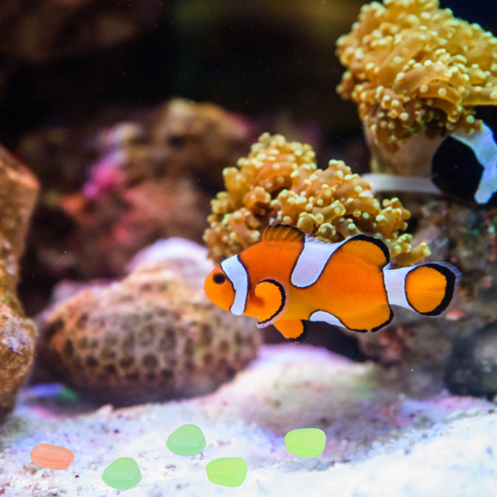 400pcs Night Glow Stones Small - огляд і ціна Aquarium Fish Glow In The Dark