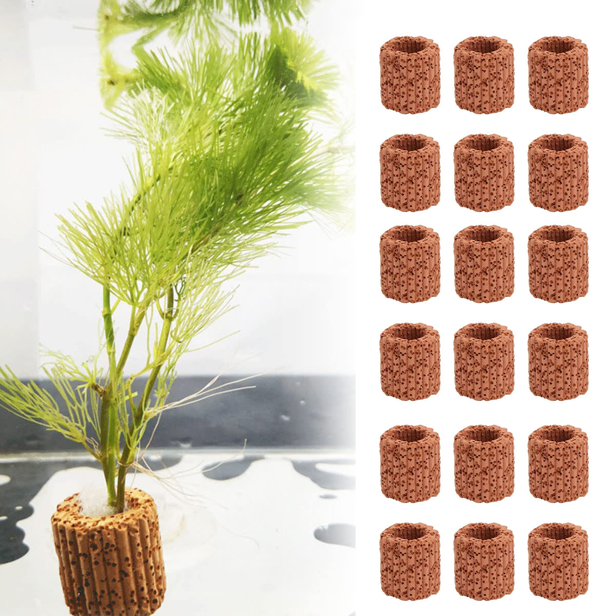10/20Pcs Aquatic Water Plant F - огляд і ціна Aquarium Fish Tank Price