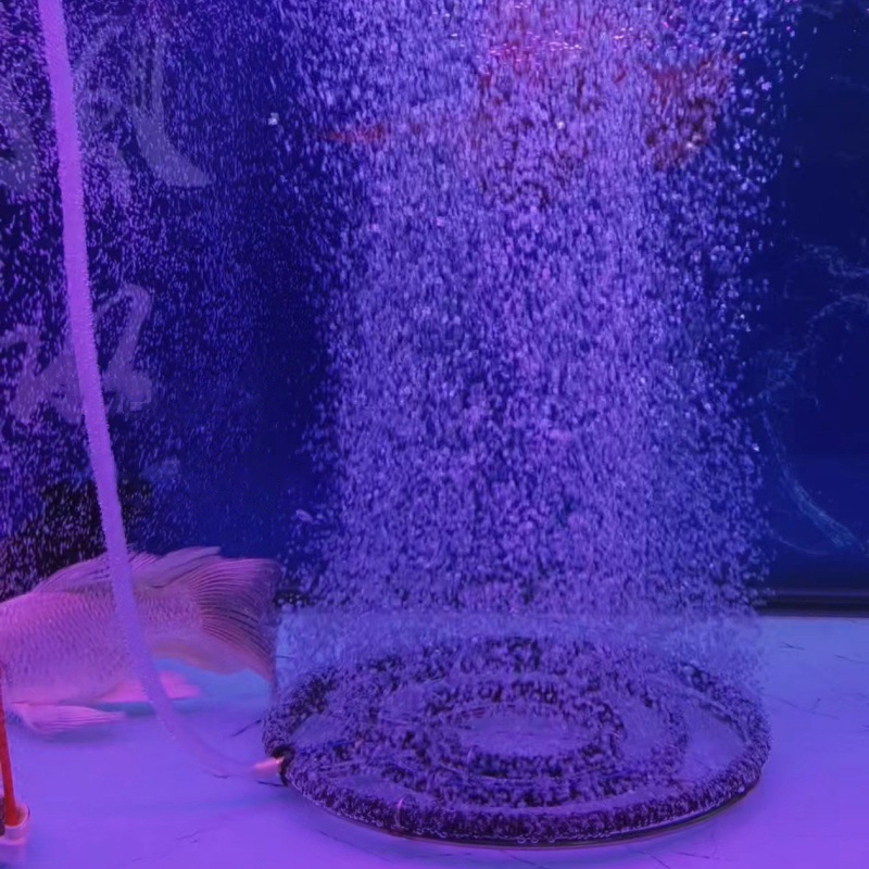 304 Stainless Steel Nano Oxyge - огляд і ціна Aquarium Fish Koi