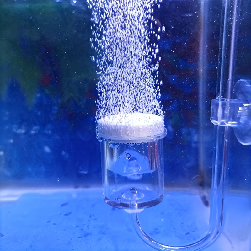 Aquarium Glass CO2 Atomizer Di - огляд і ціна Aquarium Fish Quarantine