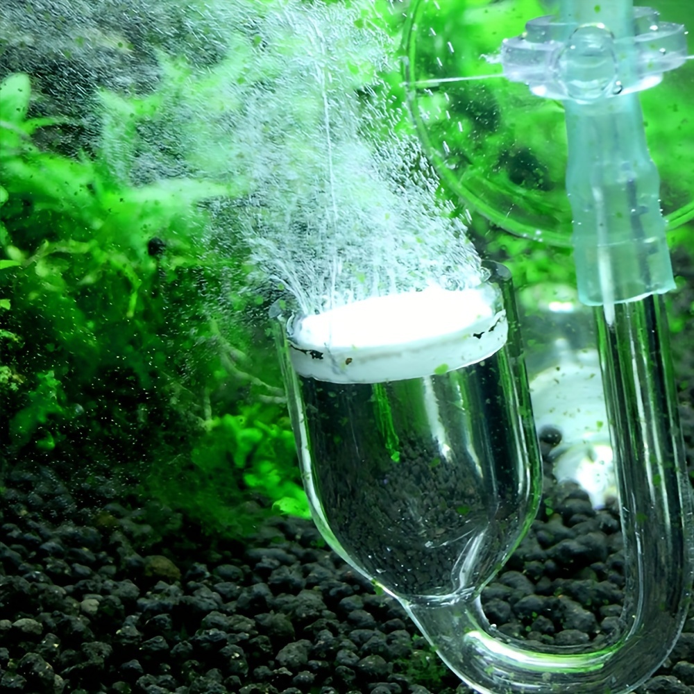 Aquarium Glass CO2 Atomizer Di - огляд і ціна Aquarium Fish Quarantine