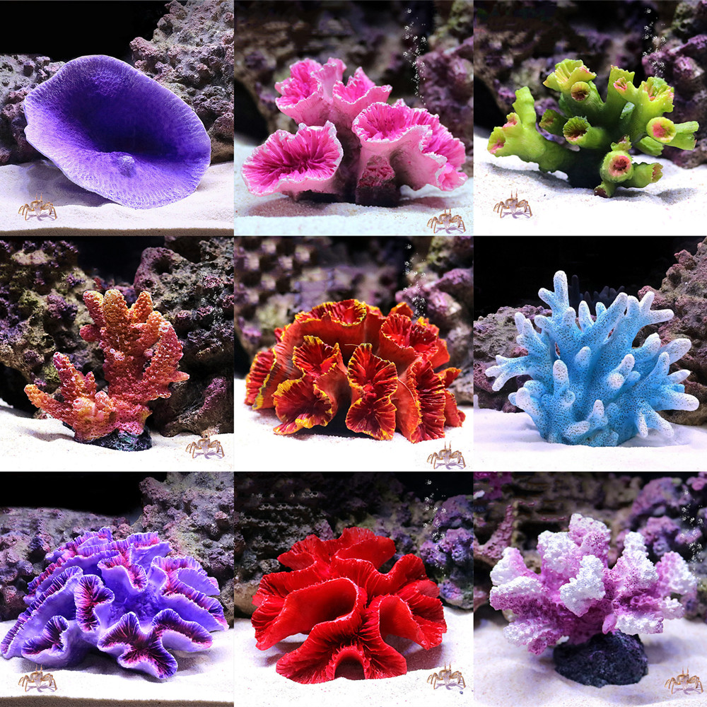 New Artificial Resin Coral Ree - огляд і ціна Aquarium Fish Discus