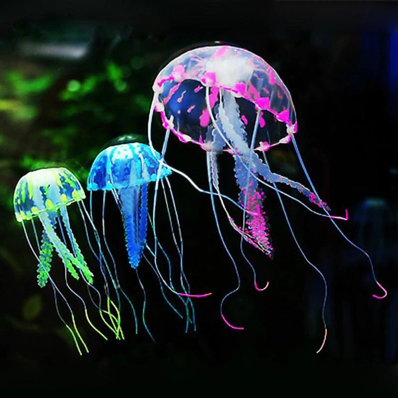 1/2pcs Silicone Fish Simulatio - огляд і ціна Aquarium Fish Discus