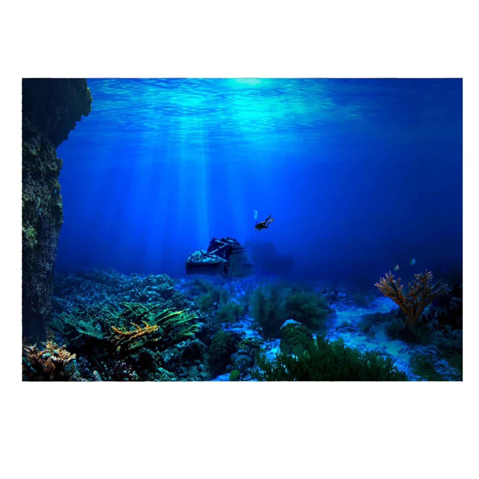 Rainforest Aquarium Background - огляд і ціна Aquarium Fish World