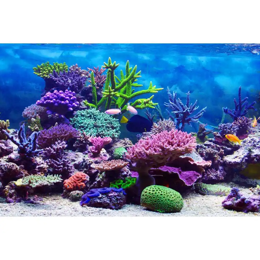 Underwater World Seabed Backdr - огляд і ціна Aquarium Fish World