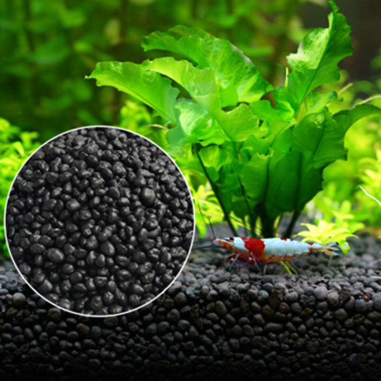 Aquarium Plant Seeds Soil Fish - огляд і ціна Aquarium Fish Quarantine