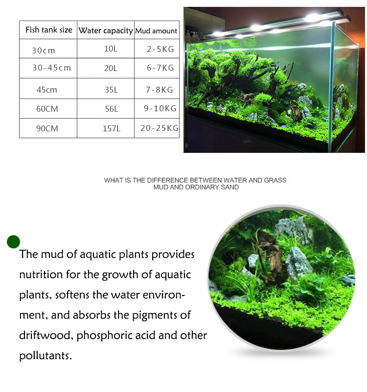 Aquarium Plant Seeds Soil Fish - огляд і ціна Aquarium Fish Quarantine