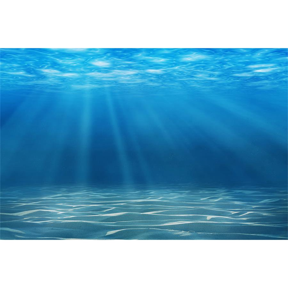 Underwater World Seabed Photog - огляд і ціна Aquarium Fish World