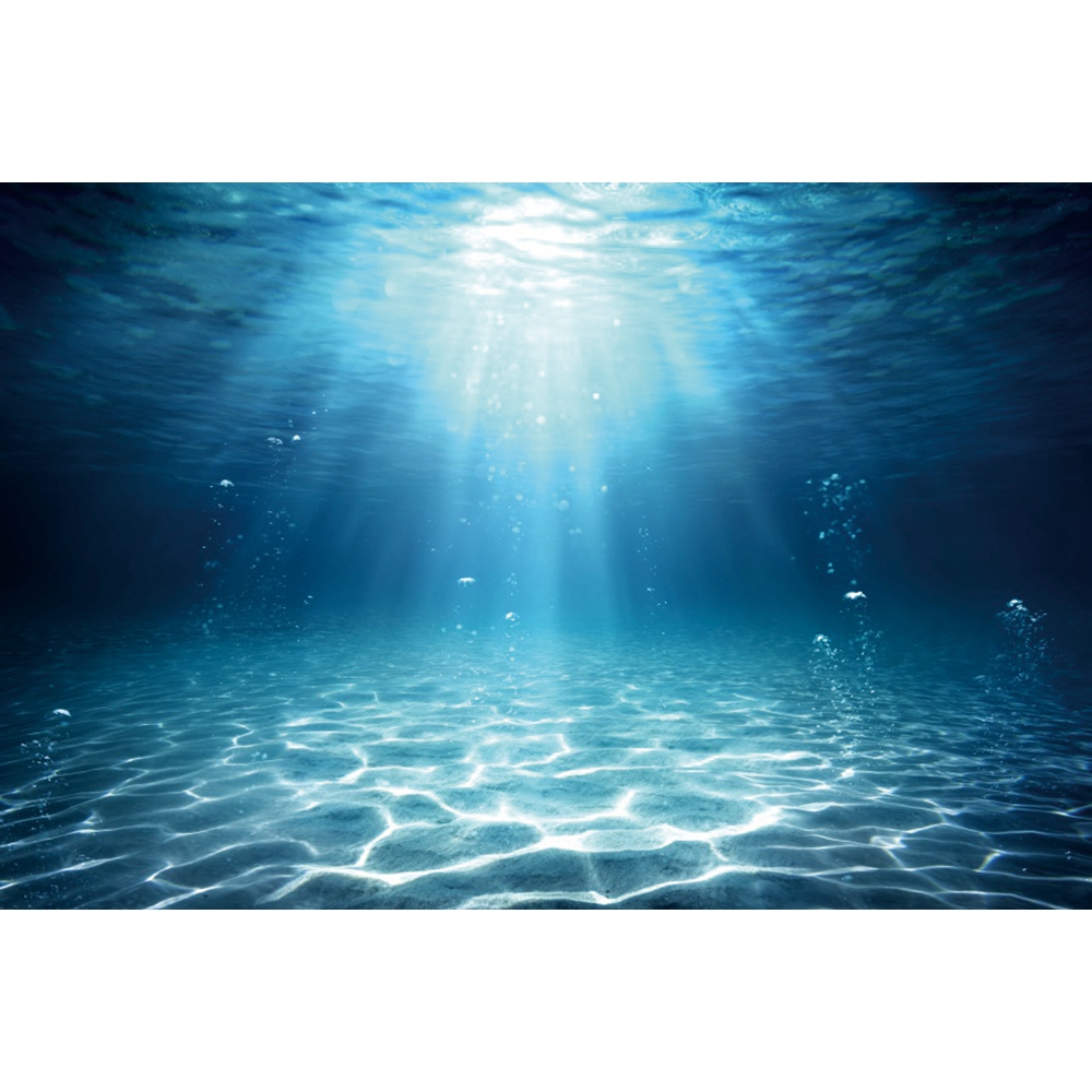 Underwater World Seabed Photog - огляд і ціна Aquarium Fish World