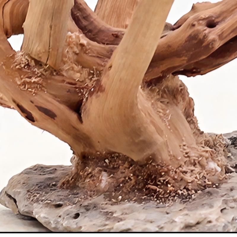 1PC Aquarium Landscaping Wood  - огляд і ціна Aquarium Fish Tank Price