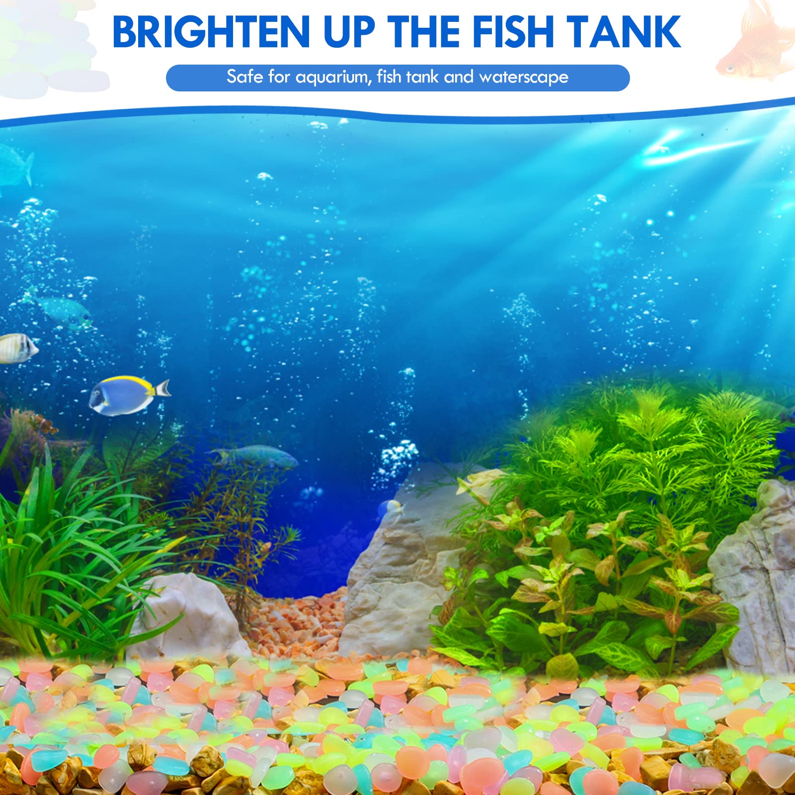 100Pcs Glow in the Dark Garden - огляд і ціна Aquarium Fish Glow In The Dark