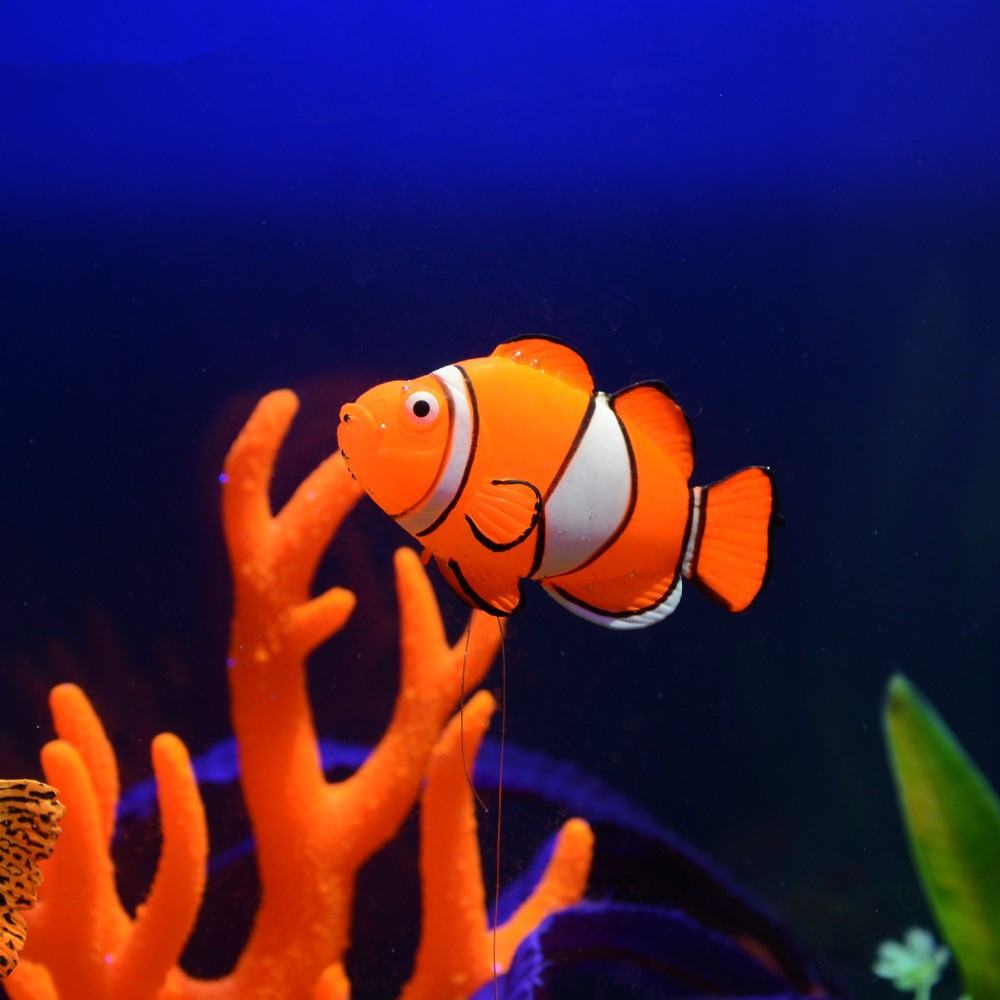 Glow in the Dark Luminous Sili - огляд і ціна Aquarium Fish Glow In The Dark