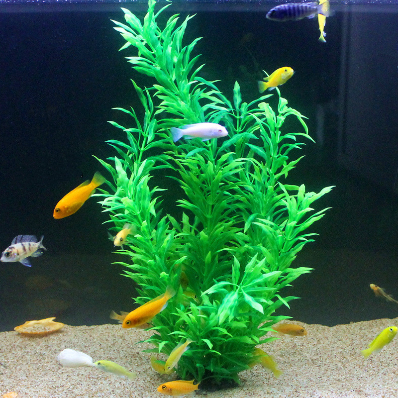 50CM Artificial Fish Tank Rare - огляд і ціна Aquarium Fish Quarantine