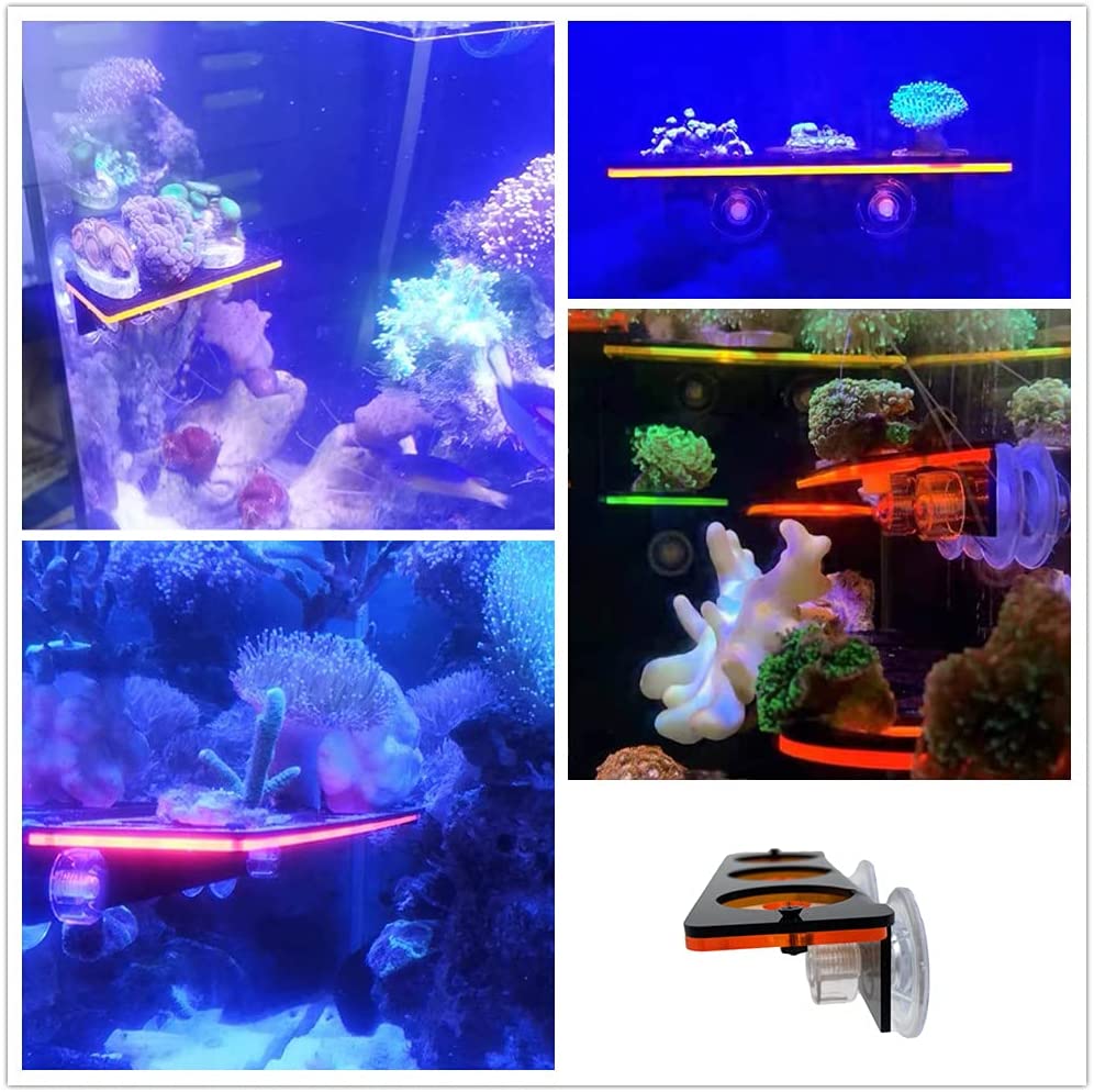 Fluorescent Coral Frag Plug Br - огляд і ціна Aquarium Fish Tank Price