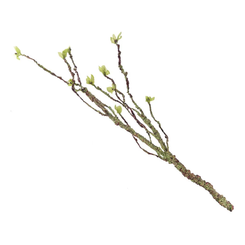 Vines Decor Climbing Branches  - огляд і ціна Aquarium Fish Quarantine